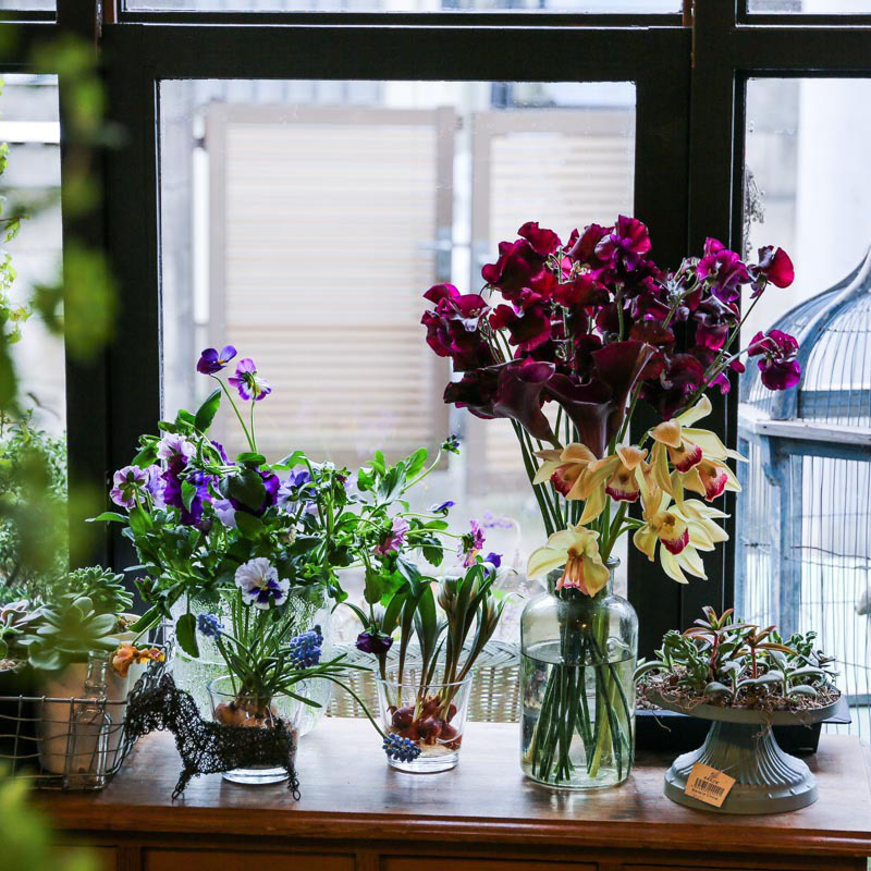 プティークール・エームのショップ季節の花の写真